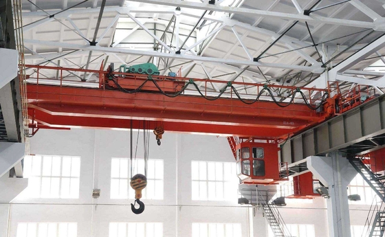 18 Months 5 Ton Double Girder Overhead Crane Customization